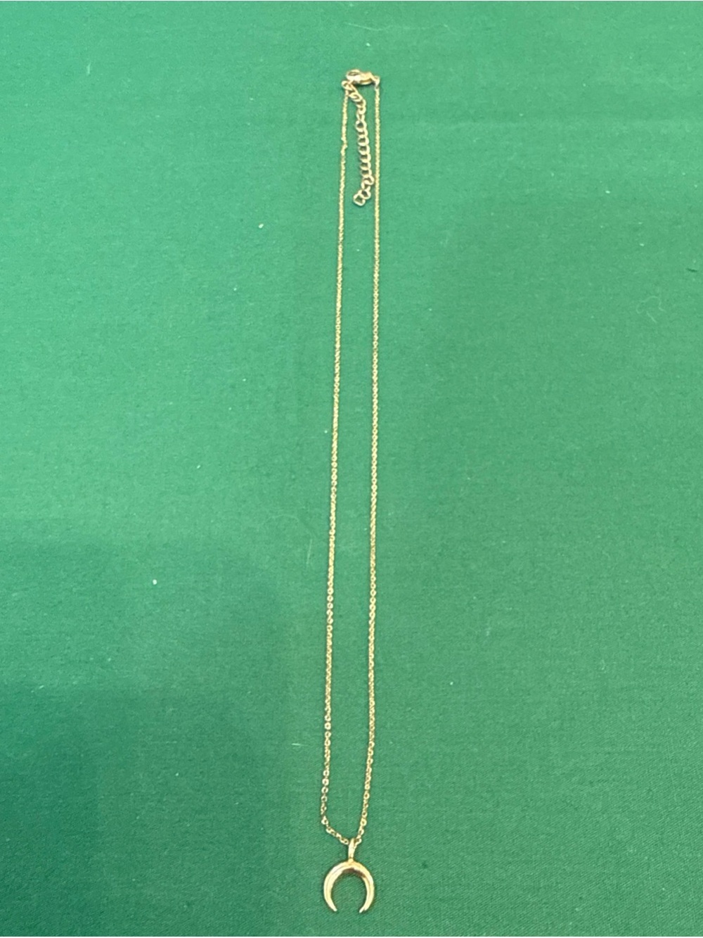 Dainty Goldtone Crescent Horn Necklace With Delicate Cable Chain. 61F